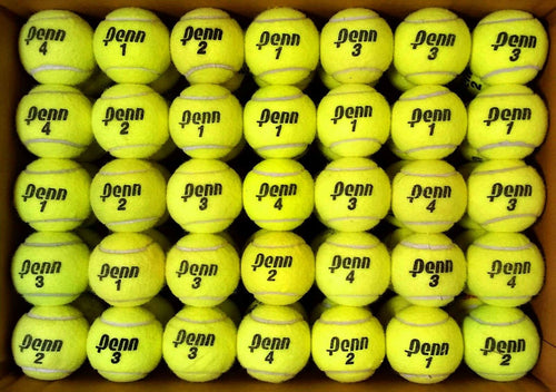 Doggie Balls FREE SHIP & FREE RECYCLING support RecycleBalls nonprofit