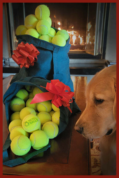 100 Used Tennis Balls GIFT - Perfect Doggie Gift - Includes premium Bag and Bow